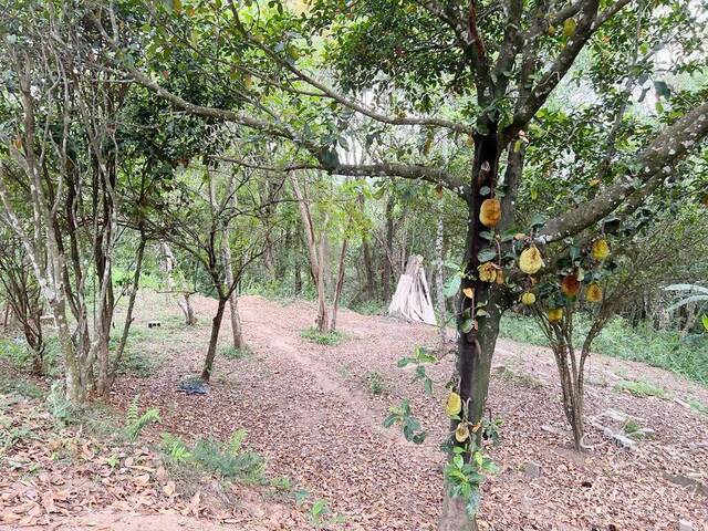 Chácara para Venda em Jarinu - 4
